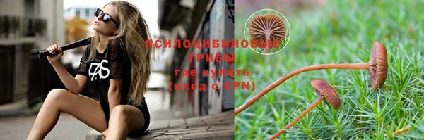 гидропоника Белокуриха