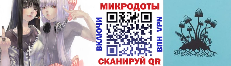 Псилоцибиновые грибы Psilocybine cubensis  Ярцево 